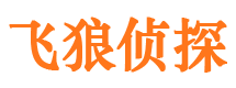 东莞外遇出轨调查取证